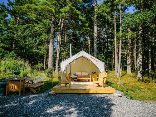 Tentrr - Abandoned Zoo Mountain View Maze - image 11