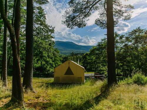 Tentrr - Abandoned Zoo Mountain View Maze - image 6