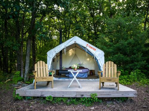 Tentrr - Abandoned Zoo Overlook - image 2