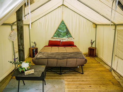 Tentrr - Abandoned Zoo Wooded Site - image 11