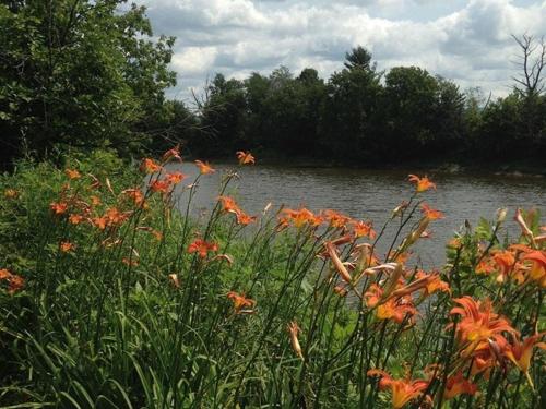 Tentrr - Missisquoi Magic - image 5