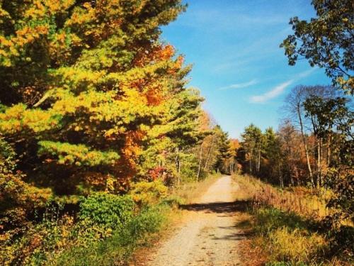 Tentrr - Missisquoi Magic - image 12