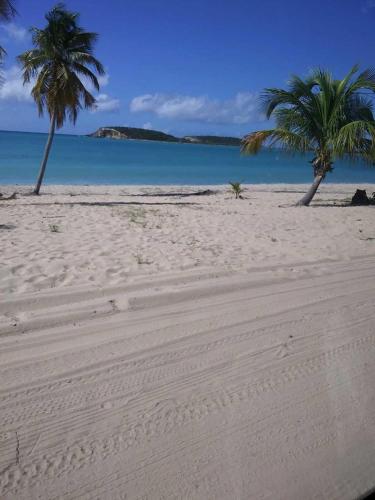 CRAB ISLAND ADVENTURES APARTMENTS in Vieques Island