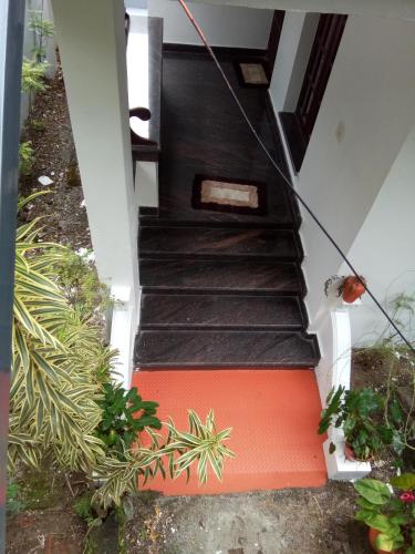 Coconut Grove - image 4