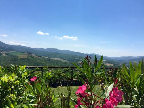 Borgo di Monte Murlo