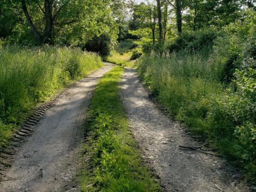 Tentrr - Meadow Ridge Farm Woods - image 11