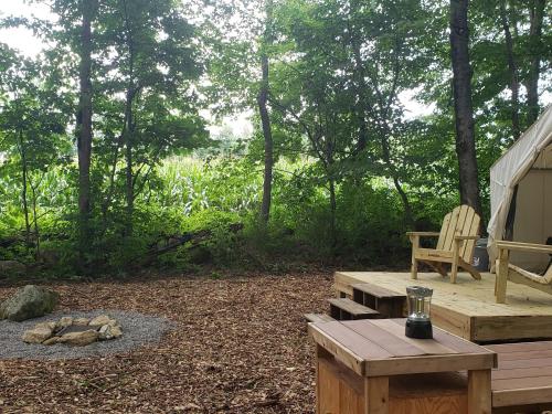Tentrr - Meadow Ridge Farm Woods - image 7