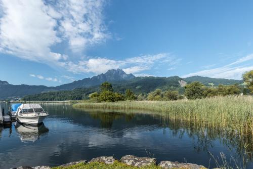 Seehotel Sternen - image 13