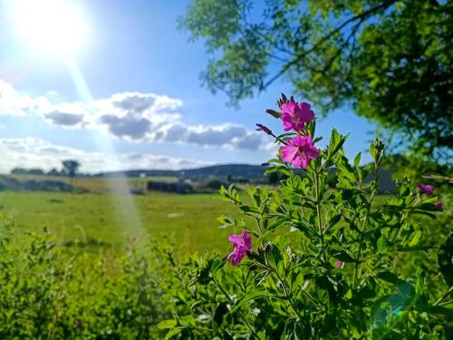 Au Pied Du Trieu, the glamping experience