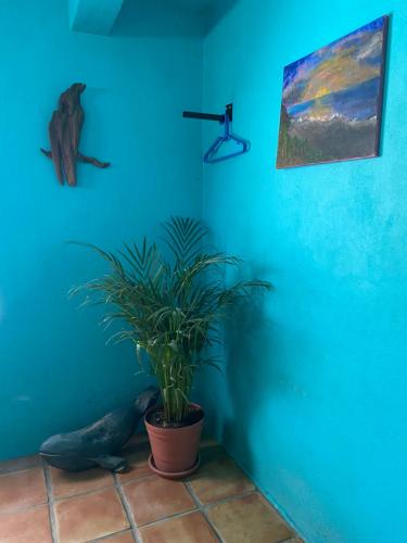 Casa Xochitl in El Centenario, Mexico