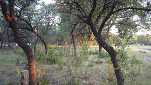 Tentrr Signature Site - Prickly Pear - image 7