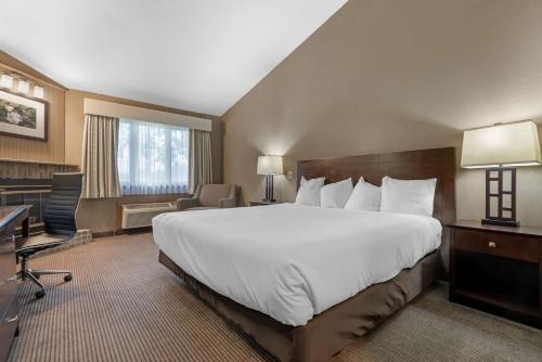 Best Western University Inn - image 11