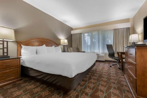 Best Western University Inn - image 6