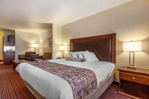 Best Western PLUS Sparta Trail Lodge - image 9