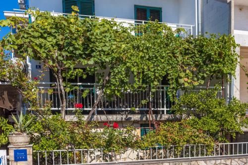 Apartments with parking space Selce Crikvenica - 19455 - image 3