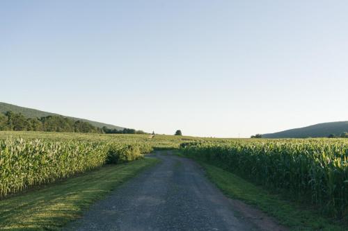 Tentrr - GoldMine Hideaway - image 3