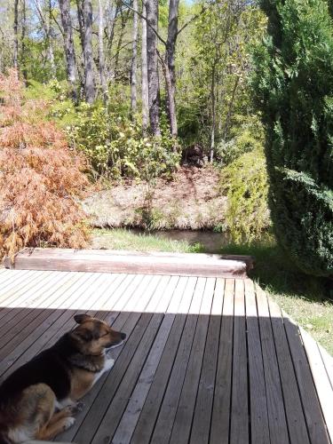 Studio with Terrace