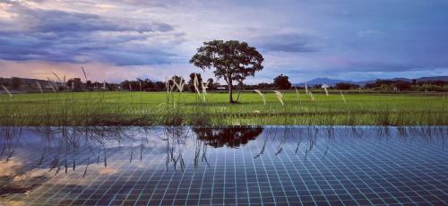 Rice Villa Chiang Mai, Muang Lamphun