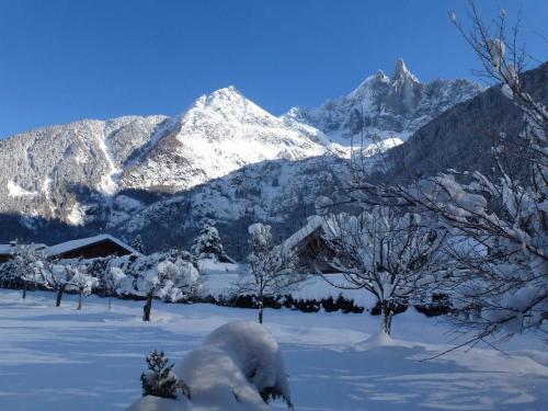 Mazot 2 étoiles avec jardin, parking et wifi - Chamonix - FR-1-343-215 (Mazot 2 etoiles avec jardin, parking et wifi - Chamonix - FR-1-343-215) in Les Gaudenays