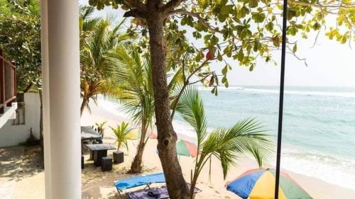 Turtle Beach Talpe in Unawatuna