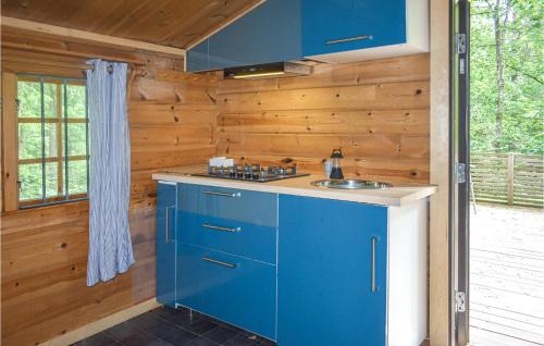 주방, 2 Bedroom Awesome Home In Svängsta (2 Bedroom Awesome Home In Svangsta) in 스뱅스타