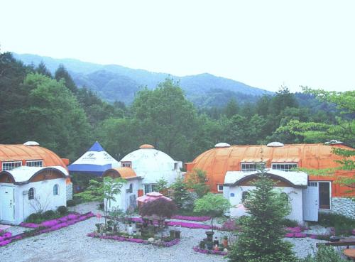 Dome Pension