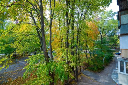 Apartment in the park area of ​​the Dnipro - image 7