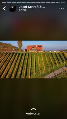 沃姆-卢克尔宾馆 沃姆-卢克尔宾馆