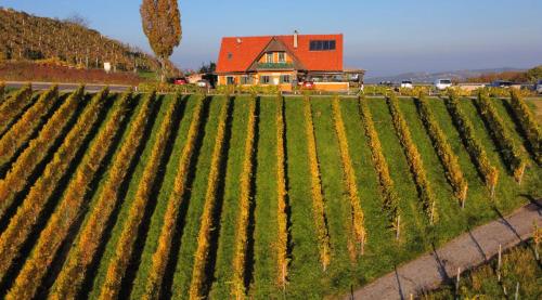 沃姆-卢克尔宾馆 沃姆-卢克尔宾馆