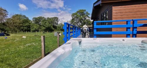 Glen Roe - 3 Bed Lodge on Friendly Farm Stay with Private Hot Tub