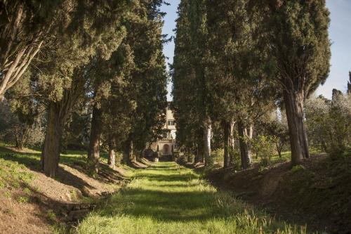 Art Hotel Villa Agape - image 5