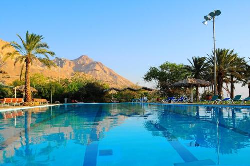 Swimming pool, Bar suite in Ein Gedi