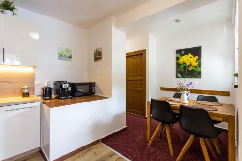 Facilities, Vila Jensen in Harrachov