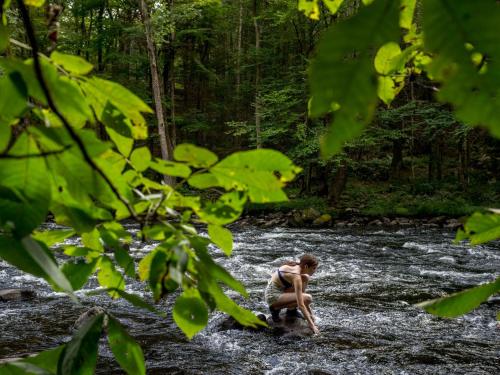 Tentrr - The Mongaup River Camp - image 6