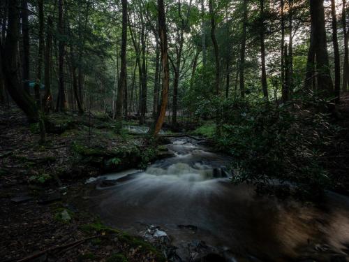 Tentrr - The Mongaup River Camp - image 8