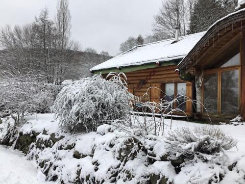 Chalet Michka Domaine Buckey Lodge [Cledicihome]