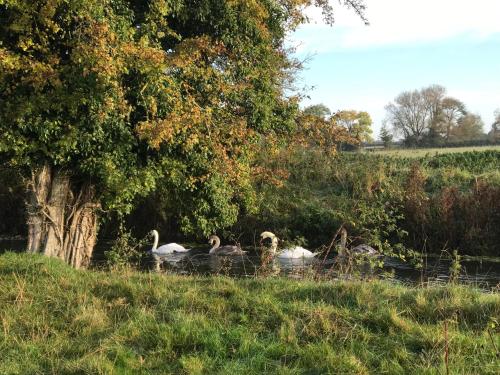 Thames Cottage, Old Mill Farm, Cotswold Water Park