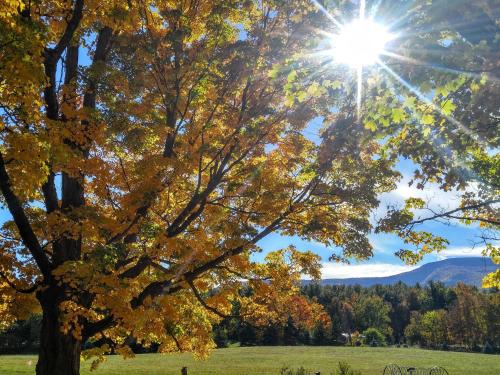 Tentrr Signature Site - Big Wood - image 12