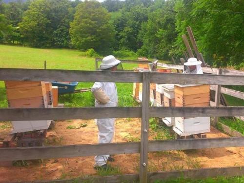 Tentrr Signature Site - Big Wood - image 14