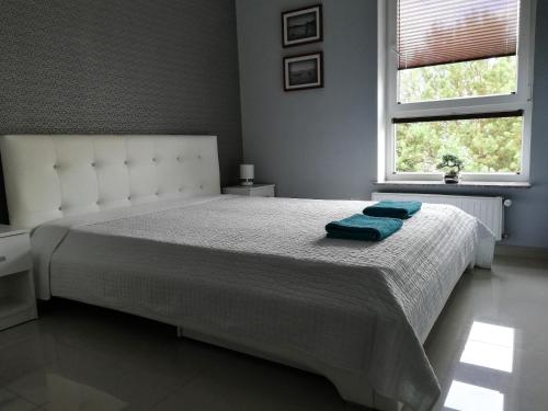 Apartament Trampa #Giżycko CENTRUM 400m do plaży