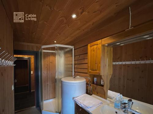 Cozy cabin at Beitostølen with sauna, hot tub & fireplace in באיטוסטולן