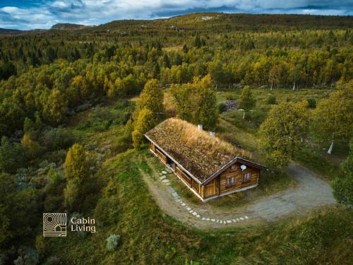 Cozy cabin at Beitostølen with sauna, hot tub & fireplace in באיטוסטולן