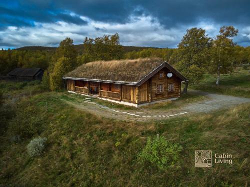 Cozy cabin at Beitostølen with sauna, hot tub & fireplace in באיטוסטולן