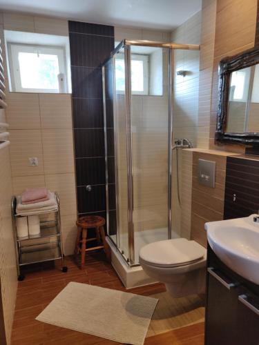 Mieszkanie / Apartament centrum blisko szlaków i wyciągów !!!, Szklarska Poręba (foto 8)