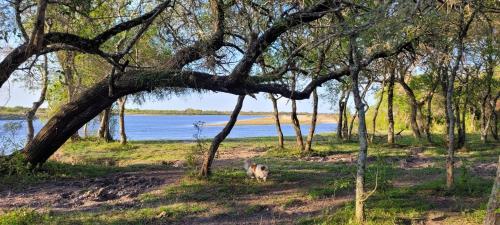 Puerto Colla in Esquina