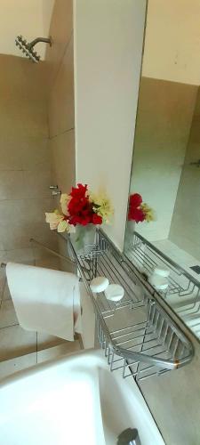 Isuru Holiday Inn - image 5
