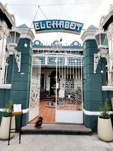 El Chabot Fan, Salta