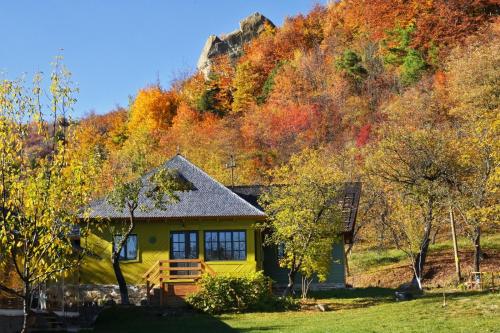 Alunis Retreat Sinaia