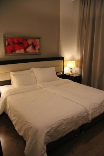 U Gornoy Karuseli Apartment - image 7