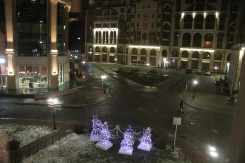 U Gornoy Karuseli Apartment - image 8